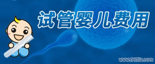 丹东试管婴儿助孕第四代费用及相关费用明细